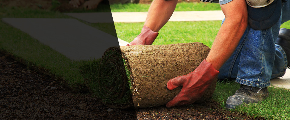 Bottineau Landscapers